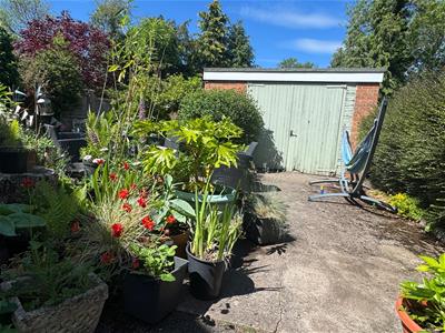 Picture 17